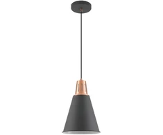 Pakabinamas šviestuvas Lubų šviestuvas GIANNI,9974,AC220-240V,50/60Hz,1*E27, max.40W,IP20, skersmuo 22cm,vienguba