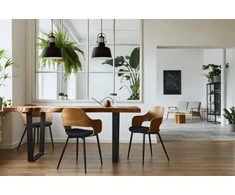 Pakabinamas šviestuvas Lubų šviestuvas NOOR,2691,AC220-240V,50/60Hz,1*E27, IP20, skersmuo 22 CM, viengubas, juoda