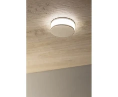 Nazario floor luminaire, 3W, IP44, cold baltas, 700mA, 1.5m cable with connector, alu