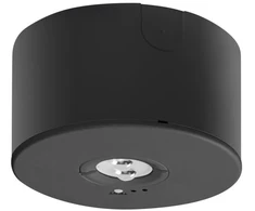 NEXO emergency luminaire, LED, 2.5W, 350lm, 6400K, AC220-240V, IP65, 3h, TEST, juodas