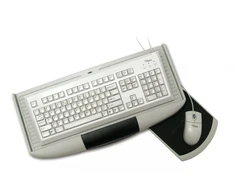Plastic computer keyboard shelf with pelė