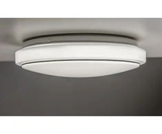 Lubinis šviestuvas ROSALI LED ceiling lamp, Ø340mm, 4000K, 24W, 1920lm, AC180-250V, 50/60 Hz, PF>0,5, IP44, r