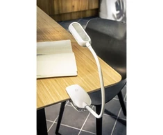 Stalinė lempa FROGY ,5W, 300lm.AC220-240V, 4000K, baterija, 1200MAh, Ra>80, reguliuojamas