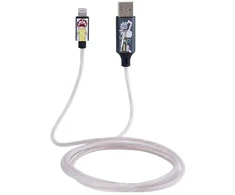 Šviečiantis laidas Lazerbuilt Rick and Morty USB A-MFI