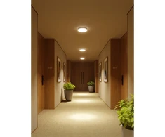Lubinis šviestuvas Šviestuvas SATURN LED su mikroelementų jutikliu,24W,1600lm,AC220-240V,50/60 Hz,PF>0,5,Ra>8
