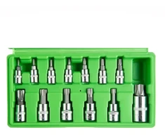 ŽVAIGŽDUTINIŲ "TORX" GALVUČIŲ-ANTGALIŲ RINKINYS,13 VNT. DS1235