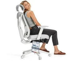 Biuro kėdė Desktronic SitPro Pilka, 3D porankiai, 10 reguliuojamų taškų, BIFMA sertifikatas