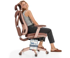Biuro kėdė Desktronic SitPro Rožinė, 3D porankiai, 10 reguliuojamų taškų, BIFMA sertifikatas