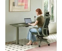 Elektrinis reguliuojamo aukščio stalas Desktronic HomeOne Žalias/Žalias, 160x80cm, Dvigubas motoras, USB ir USB-C įkrovimo lizdai