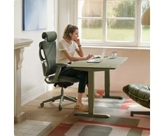 Elektrinis reguliuojamo aukščio stalas Desktronic HomePro Žalias/Juodas, 140x70cm, Dvigubas motoras, USB ir USB-C įkrovimo lizdai
