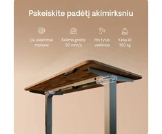 Elektrinis reguliuojamo aukščio stalas Desktronic HomePro Riešutmedžio masyvas/Pilkas, 200x80cm, Dvigubas motoras, USB ir USB-C įkrovimo lizdai