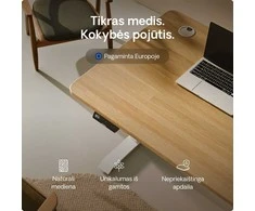 Elektrinis reguliuojamo aukščio stalas Desktronic HomePro Ąžuolo masyvas/Baltas, 200x80cm, Dvigubas motoras, USB ir USB-C įkrovimo lizdai