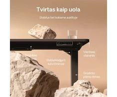 Elektrinis reguliuojamo aukščio stalas Desktronic HomePro Juodas/Juodas, 200x80cm, Dvigubas motoras, USB ir USB-C įkrovimo lizdai