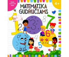 KNYGA Matematika gudručiams