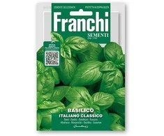 Bazilikai kvapieji ITALIANO CLASSICO