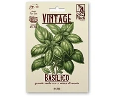 Bazilikai kvapieji ITALIANO CLASSICO