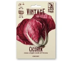 Salotinės trūkažolės (Cikorijos) ROSSA DI VERONA A PALLA