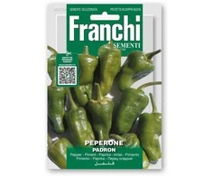 Paprikos vienmetės PADRON