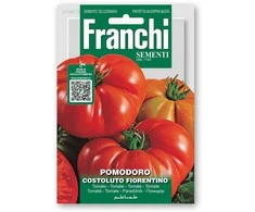 Pomidorai valgomieji COSTOLUTO FIORENTINO