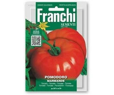 Pomidorai valgomieji MARMANDE