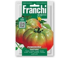 Pomidorai valgomieji PANTANO