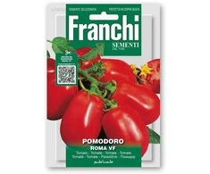 Pomidorai valgomieji ROMA V.F.