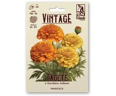 Serenčiai didieji MARIGOLD