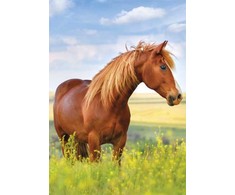 A/4 dydžio elastinis aplankas „Horses Field“