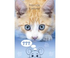 A4 formato elastinis aplankas „Cat Friends Forever“