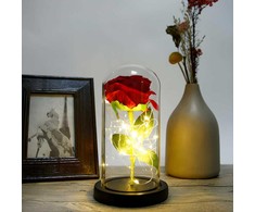 Raudona rožė stikle su LED apšvietimu