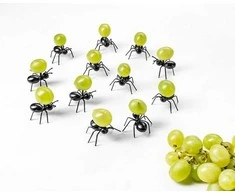 ANT vakarėlio favoritai