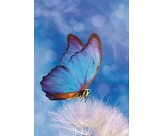 Aplankas Butterfly Butterfly Nature A/4 elastinė juostelė
