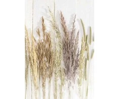 Aplankas Butterfly Golden Harvest Nature A/4 elastinė juostelė