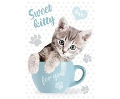 Aplankas „Katytė Saldus Kitty“ A4 formato elastinis aplankas