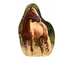 Arklio formos pagalvėlė, dekoratyvinė pagalvėlė 30*39 cm