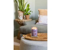 Yankee Candle Aromatinė žvakė Signatūrinis stiklas didelis Stargazing 567 g