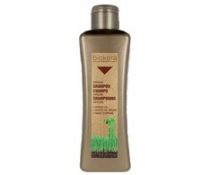 Atstatantis šampūnas Biokera Arganology Salerm Argano aliejus (300 ml)