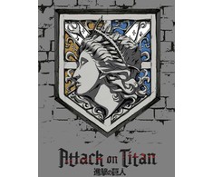 „Attack on Titan Wall Maria“ vilnos antklodė 130x170 cm