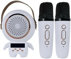 Belaidis karaoke garsiakalbis su Bluetooth ir 2 mikrofonais