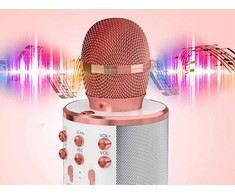 Belaidis mikrofonas su garsiakalbiu ir karaoke funkcija