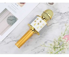 Belaidis mikrofonas su Bluetooth ir karaoke garsiakalbiu bei dėklu, 22 cm, auksinis