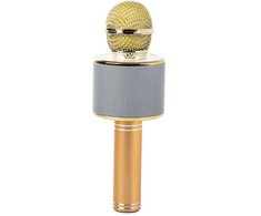 Belaidis mikrofonas su Bluetooth ir karaoke garsiakalbiu bei dėklu, 22 cm, auksinis