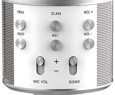 Belaidis mikrofonas su Bluetooth ir karaoke garsiakalbiu, 22 cm