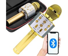 Belaidis mikrofonas su Bluetooth ir karaoke garsiakalbiu bei dėklu, 22 cm, auksinis