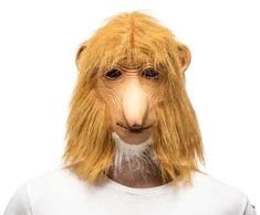 GM kaukė "lenkiška nosis"