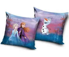 Dekoratyvinė pagalvėlė Disney Frozen 40x40 cm