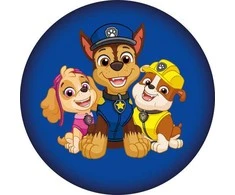 Dekoratyvinė pagalvėlė „Paw Patrol Squad“, 37x37 cm