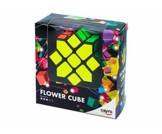 Cayro galvosūkis „Flower Cube“, nuo 6 m.