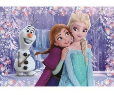 Dėlionė Clementoni Frozen 2 (2 vnt.)