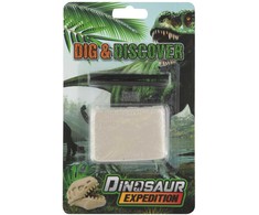 Dinozaurų ekspedicijos mini tyrinėtojų rinkinys